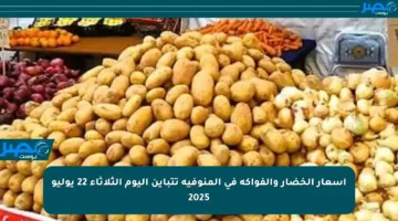 أسعار الخضار والفواكه في المنوفية تتباين اليوم الثلاثاء 22 يوليو 2025